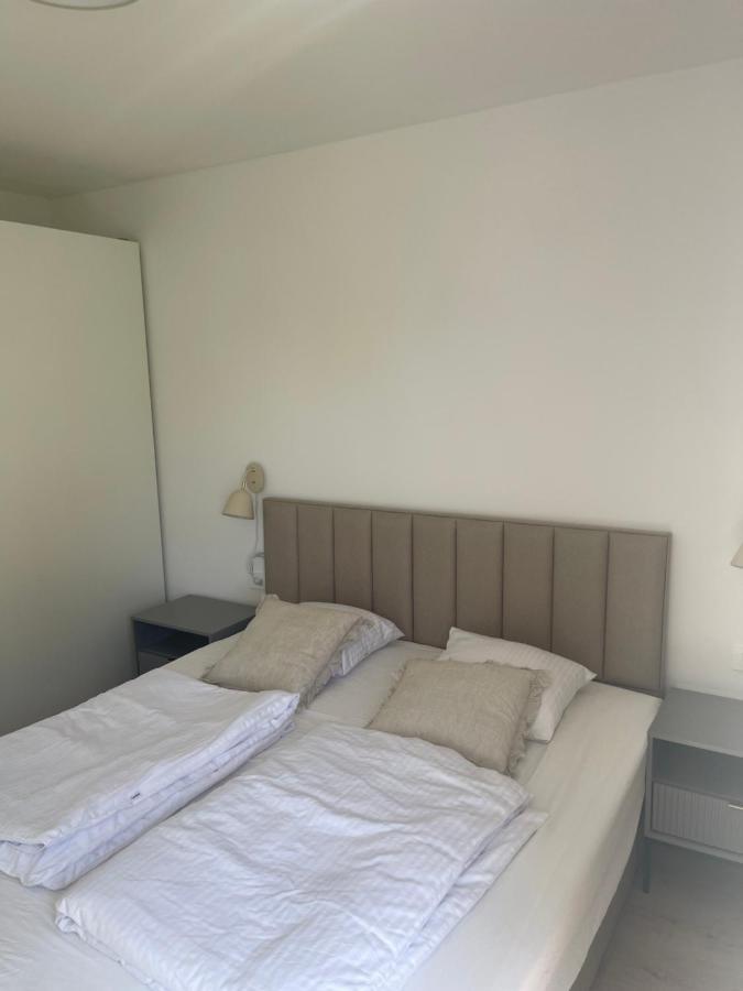 Soltysovka Apartments ロゴズニッツァ エクステリア 写真